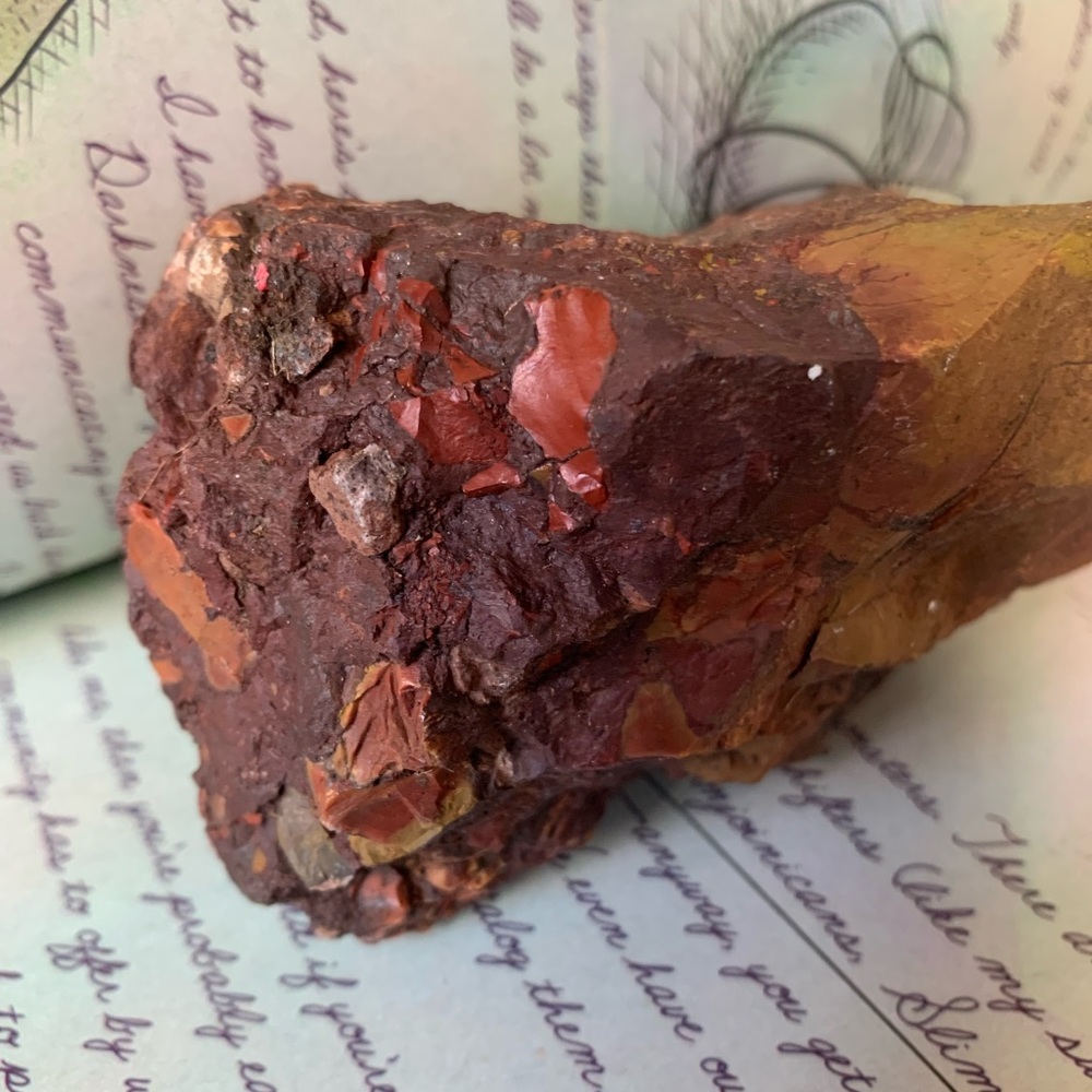Beautiful piece of Petrified Redwood tree mineral stone display specimen - Picture 7 of 11